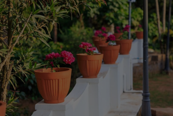 Heritage coffee estate resort in Coorg