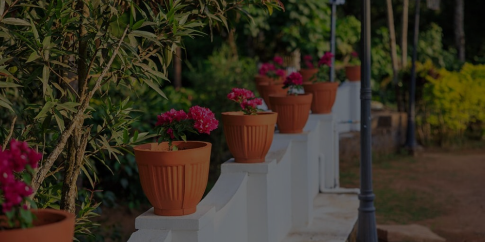 Heritage coffee estate resort in Coorg